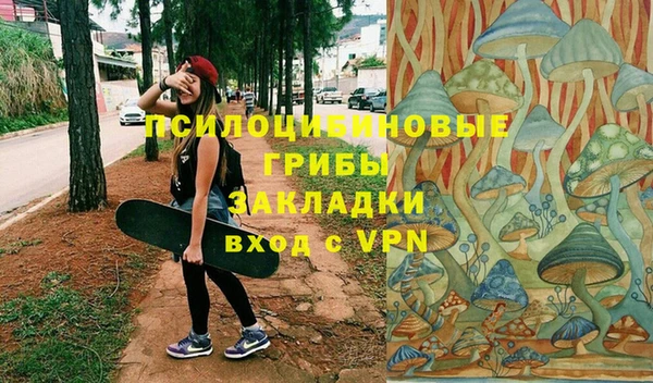 прущая мука Алзамай