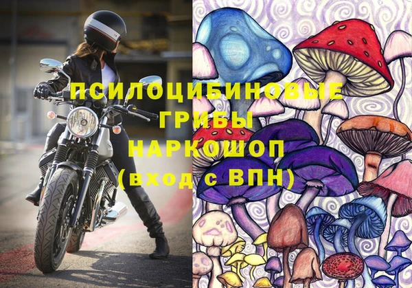 ешки Алексин