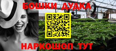 PSILOCYBIN Дубна