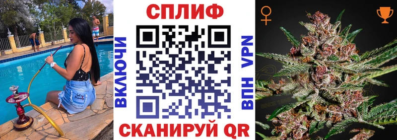 Марихуана OG Kush  как найти   Строитель 